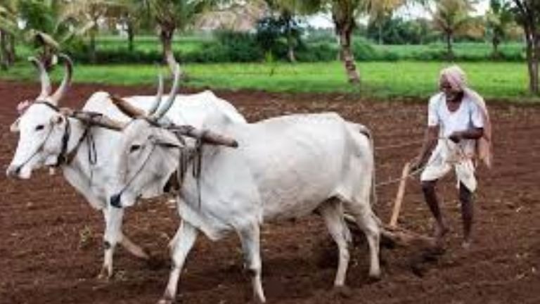 2026 ಮುಂಗಾರು ಎಚ್ಚರಿಕೆ! ಮಳೆ ಕಡಿಮೆಯಾ? ರೈತರಿಗೆ ದೊಡ್ಡ ಶಾಕ್